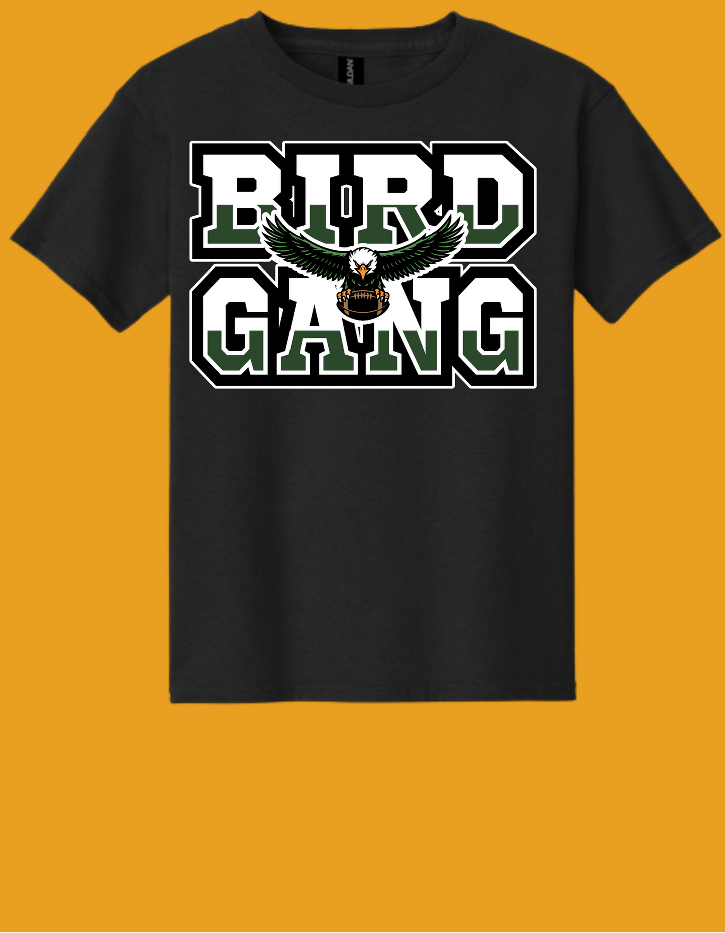 Adult GILDAN Heavy Cotton T-Shirt  Design 5 - 5000