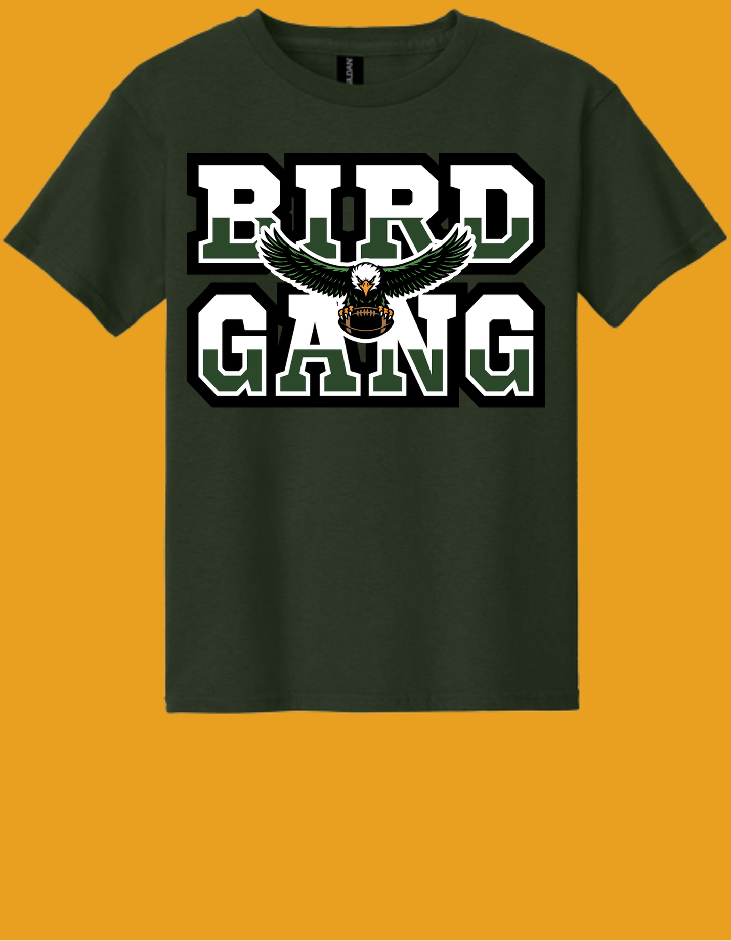 Adult GILDAN Heavy Cotton T-Shirt  Design 5 - 5000