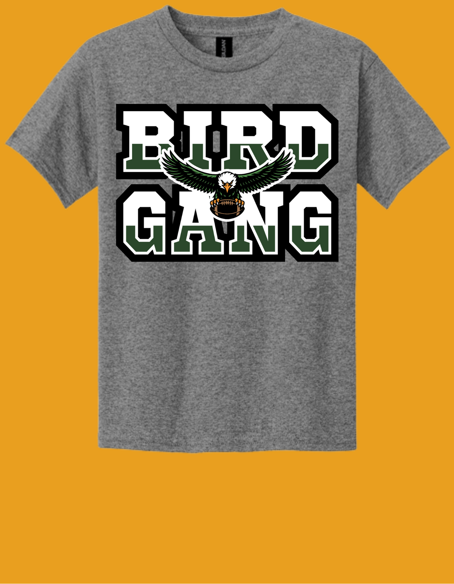 Adult GILDAN Heavy Cotton T-Shirt  Design 5 - 5000