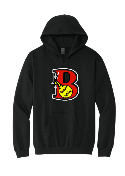Youth Gildan Softstyle Hoodie Design 3 - SF500B